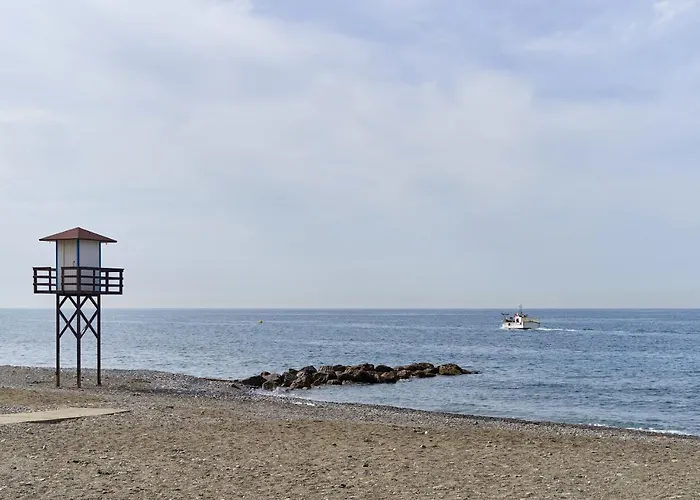Estudio Feten Algarrobo Costa